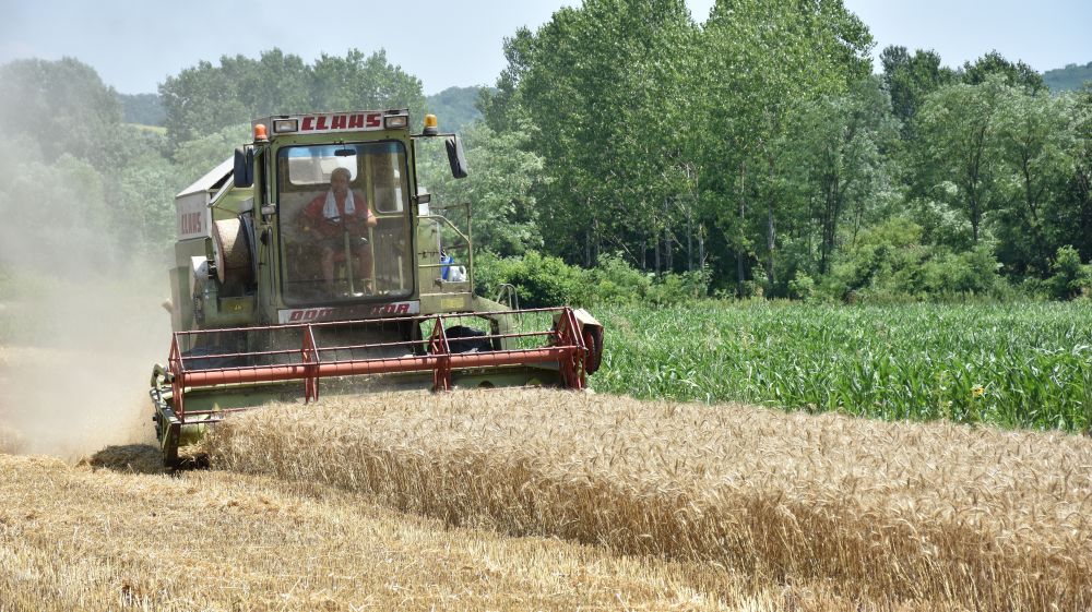 КОНКУРС ЗА ПОДСТИЦАЈНА СРЕДСТВА ЗА РАЗВОЈ ПОЉОПРИВРЕДЕ  У ГРАДУ УЖИЦУ У 2023. ГОДИНИ