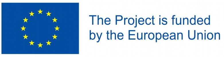 GRANT AND TRAINING SUPPORT – STRENGTHENING CAPACITES OF CSOS ADVOCATING FOR YOUTH PARTICIPATION - SECOND ROUND OF CALL FOR PROPOSALS - TURKEY