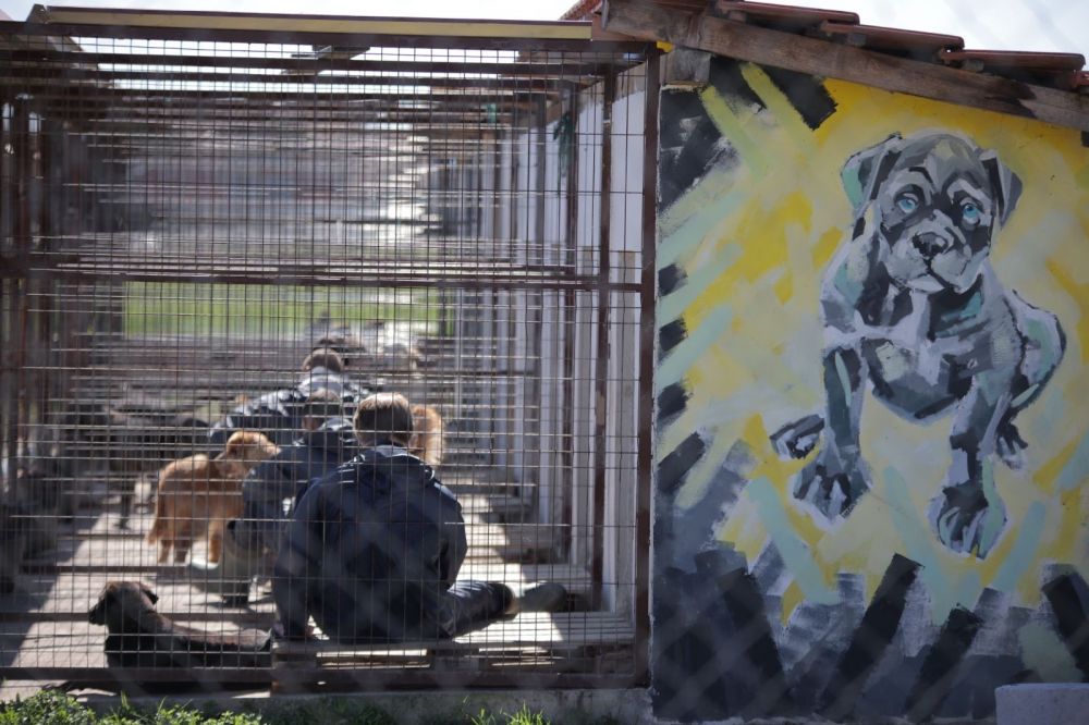 Dog Training as a Path to the Resocialization of Juvenile Offenders