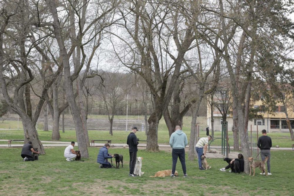 Dog Training as a Path to the Resocialization of Juvenile Offenders