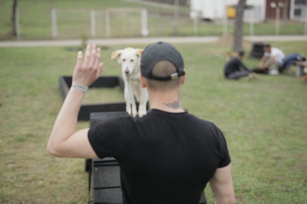 Dog Training as a Path to the Resocialization of Juvenile Offenders