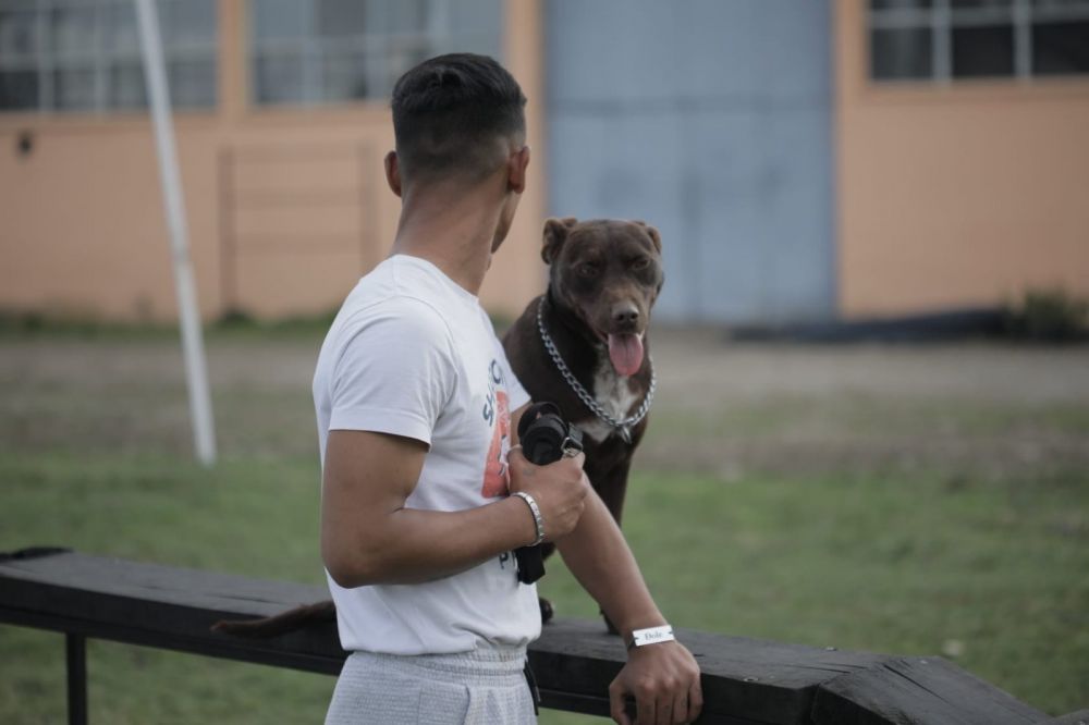 Dog Training as a Path to the Resocialization of Juvenile Offenders