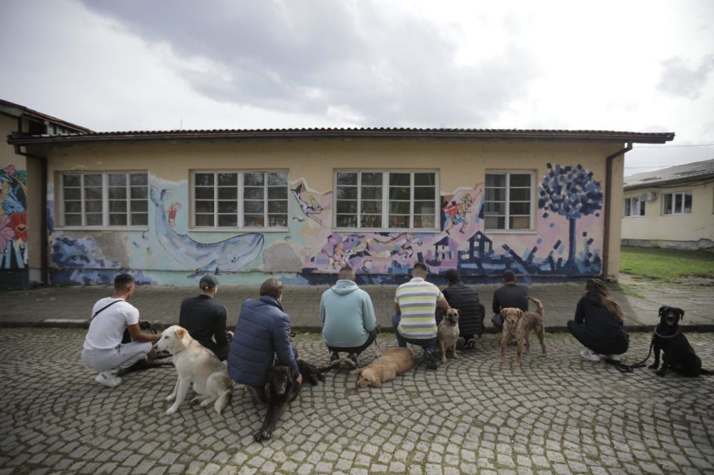 Dog Training as a Path to the Resocialization of Juvenile Offenders