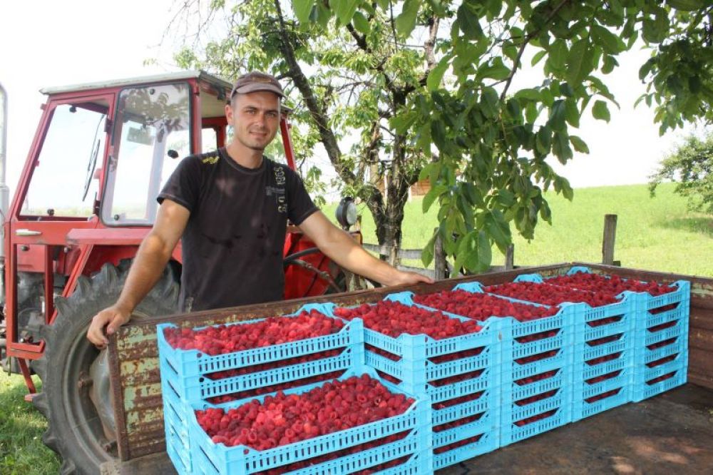 Konkurs za dodelu bespovratnih sredstava za razvoj poljoprivredne proizvodnje kroz dodelu opreme na teritoriji opštine Prijepolje u 2025.godini
