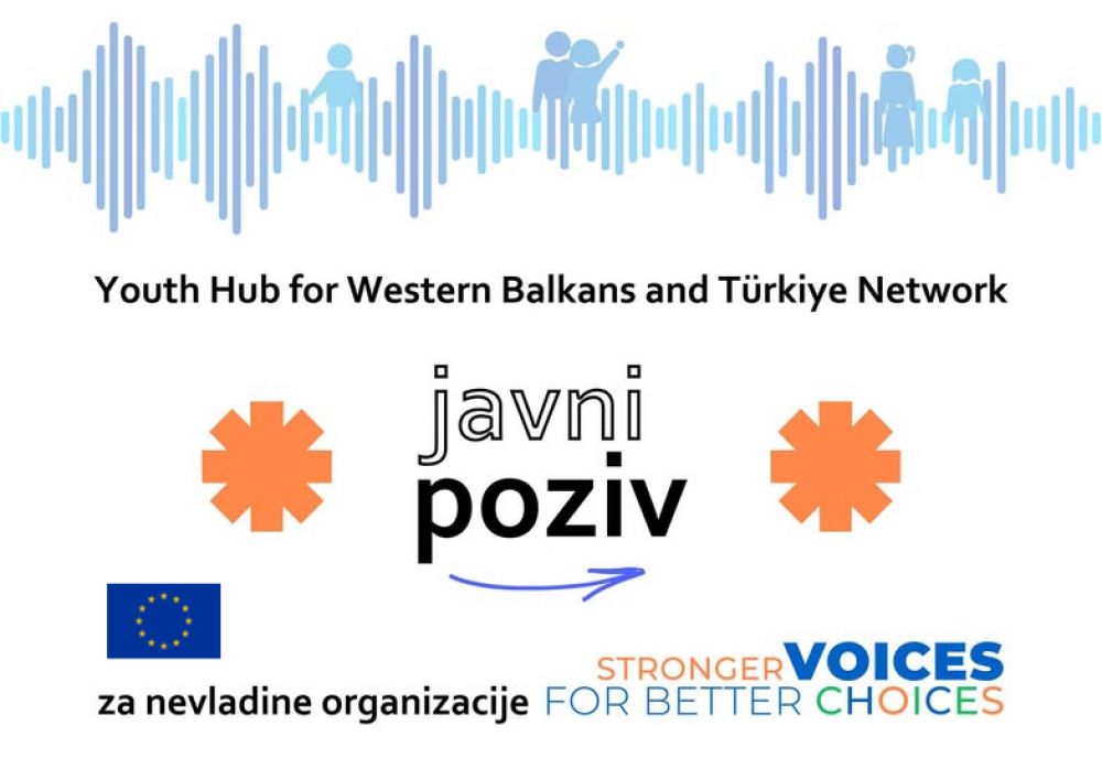 Odabrano osam nevladinih organizacija iz Srbije za podršku u okviru mreže Youth Hub for Western Balkans and Türkiye