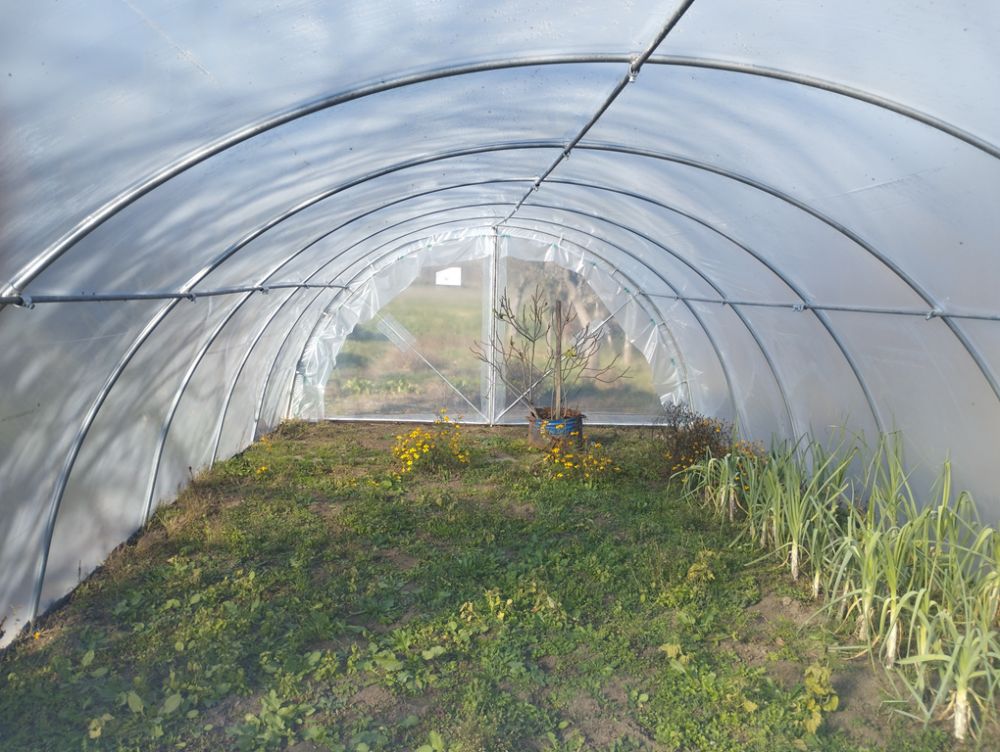 Novi konkurs za dodelu plastenika poljoprivrednim gazdinstvima sa teritorije Užica