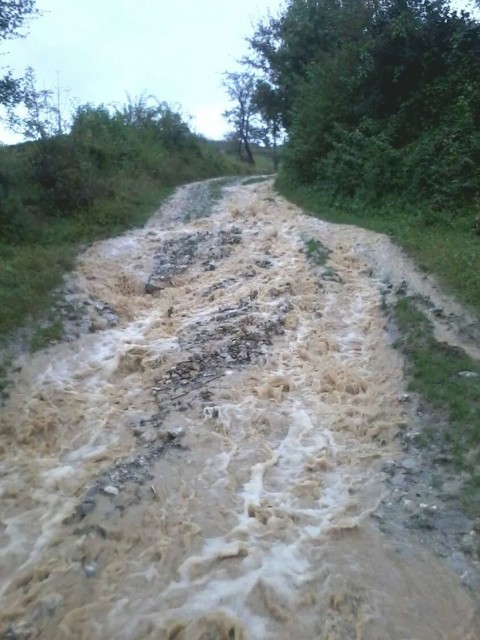 I Istočna Srbija pod vodom i blatom! I njima je potrebna pomoć!