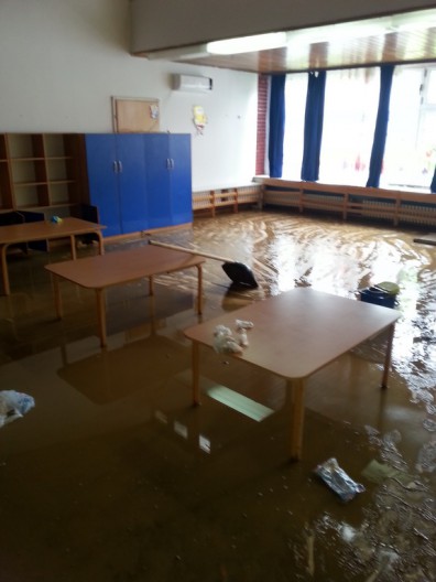 Aid for reconstruction of houses and economic revitalization of the flooded areas in Serbia