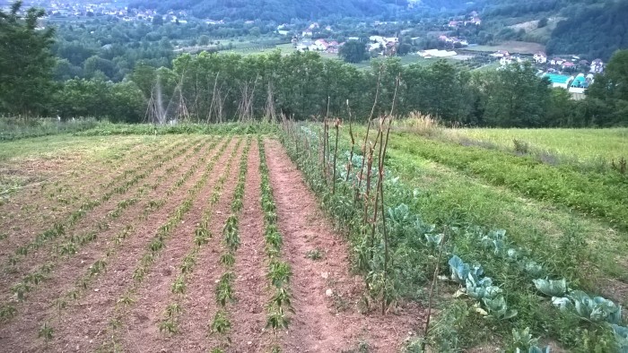 Divac agricultural funds